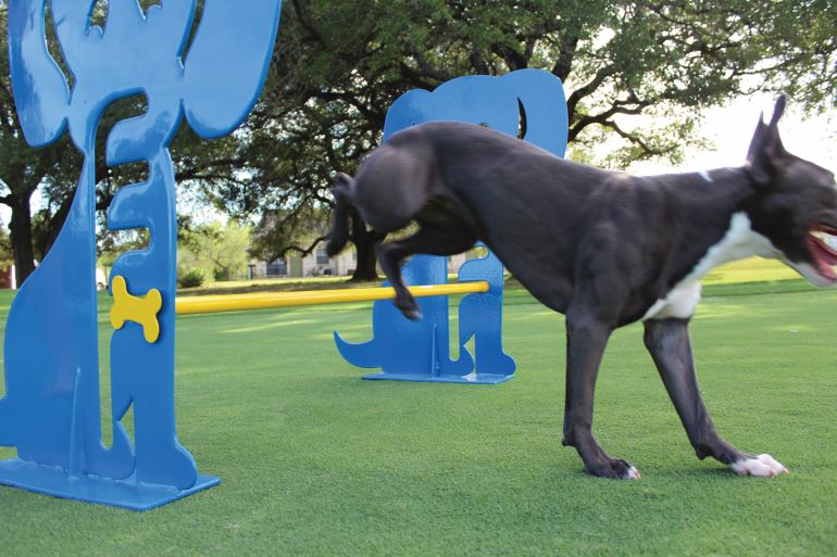 Commercial Dog Park Equipment