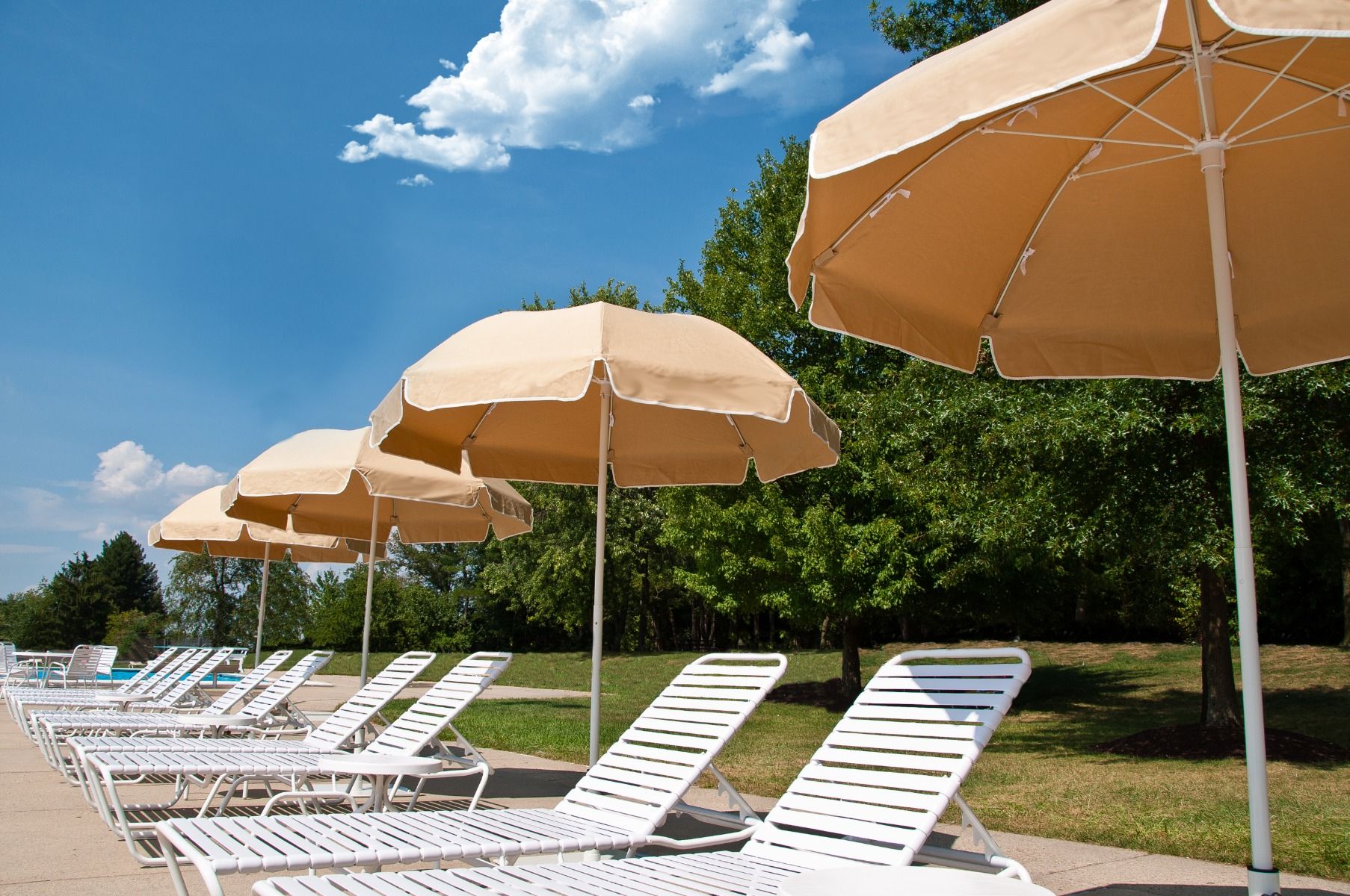 Catalina Modern Fiberglass Patio Umbrella